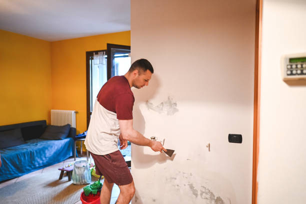 Best Certified Mold Removal  in Yorktown, TX